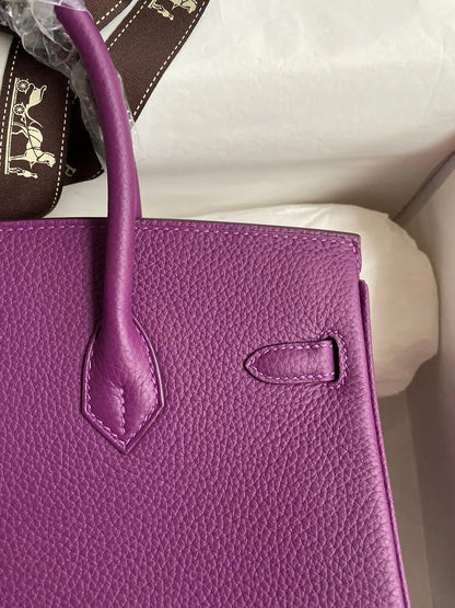 Hermes 2025 Birkin Bag Purple With Gold Hardware Epsom Leather